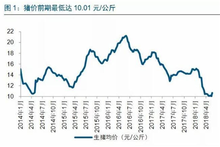 中国养猪网