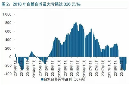 中国养猪网