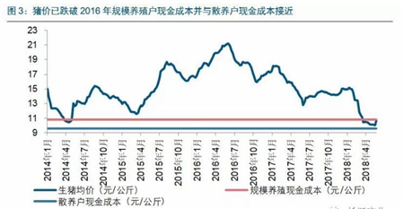 中国养猪网