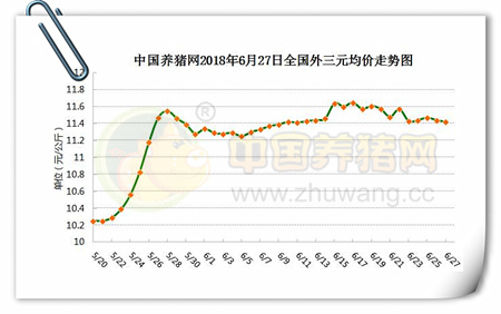 中国养猪网