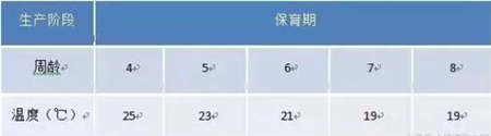 中国养猪网