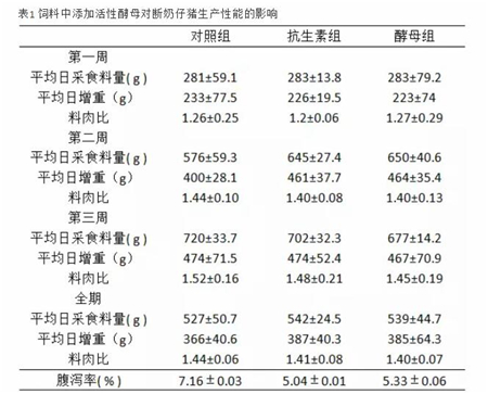 中国养猪网