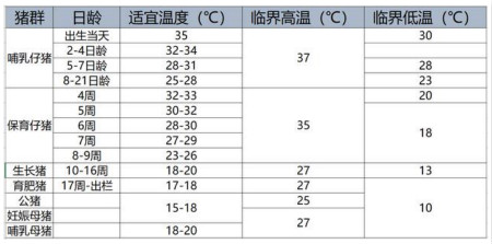 中国养猪网