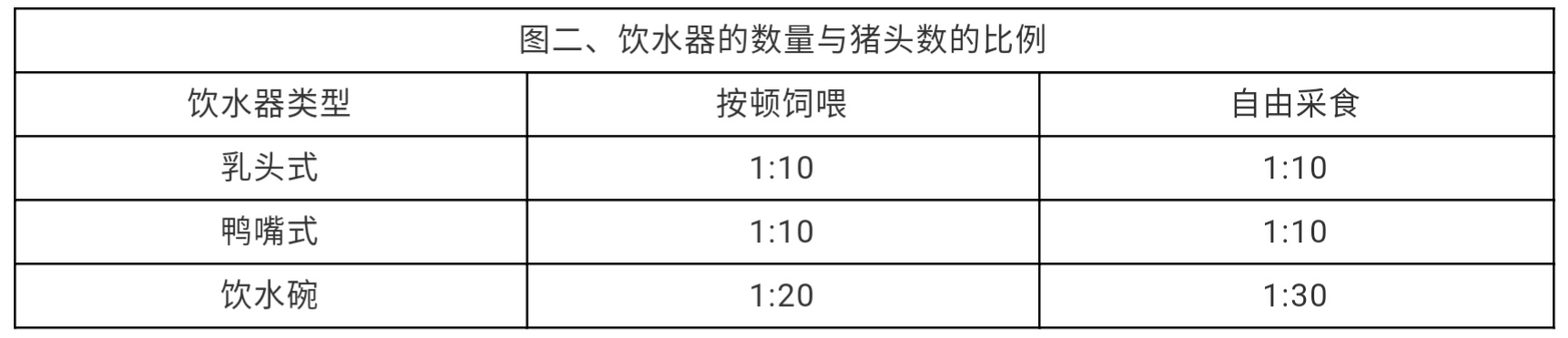 中国养猪网