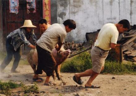 中国农民总算有个节了。