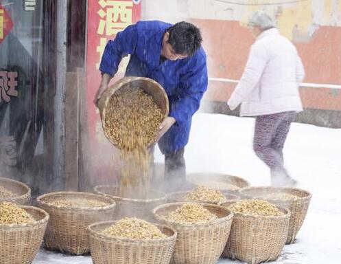 中国养猪网
