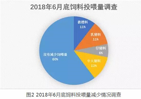 中国养猪网