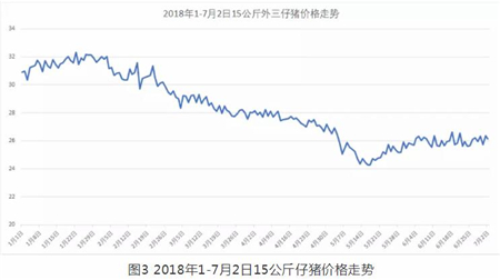 中国养猪网
