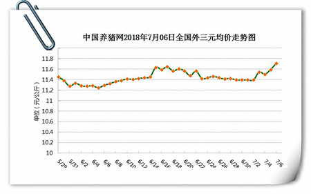 中国养猪网