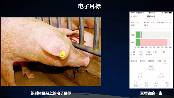 互联网、物联网技术日新月异，让信息快速获取变得异常简单。想了解一个人的前世今生？可能只需要一个简单的证件