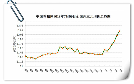 中国养猪网