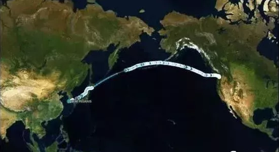 7月6日上午，中国网友的目光聚焦在了黄海上一艘满载大豆、向大连港狂奔的美国货船，这艘船名为“飞马峰”（Peak Pegasus）号。