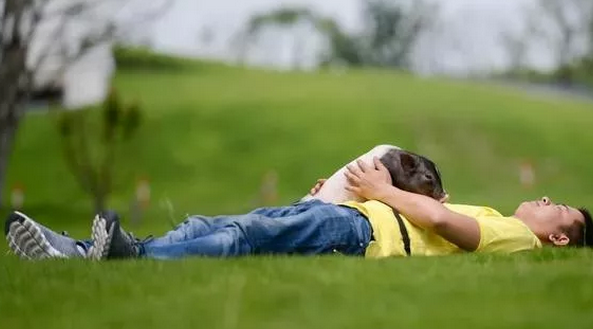 踢球、跨栏......他这样把一头小猪送上“明星”之路