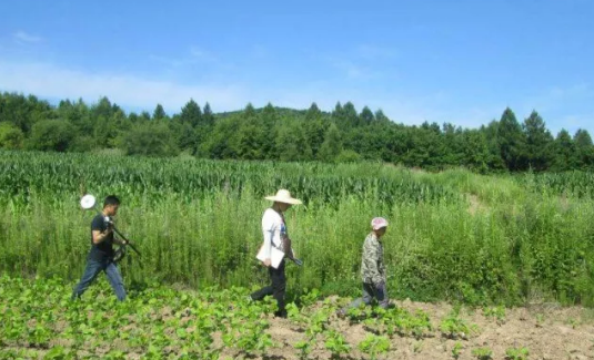 向阳 农业网Agronet