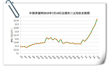 中国养猪网