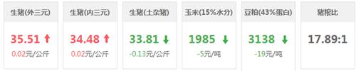 中国养猪网