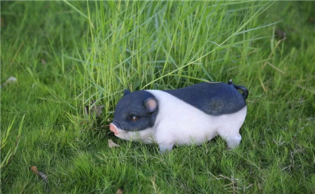 要想信贷支持生猪产业，还需多方“增信”！