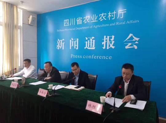 “猪九条”之后四川猪肉增产 生猪生产纳入各地考核内容