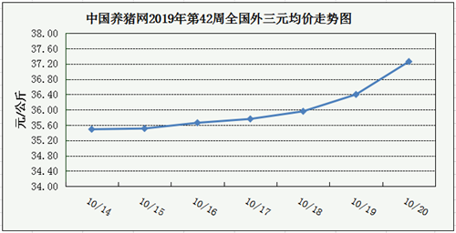 中国养猪网