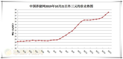 中国养猪网