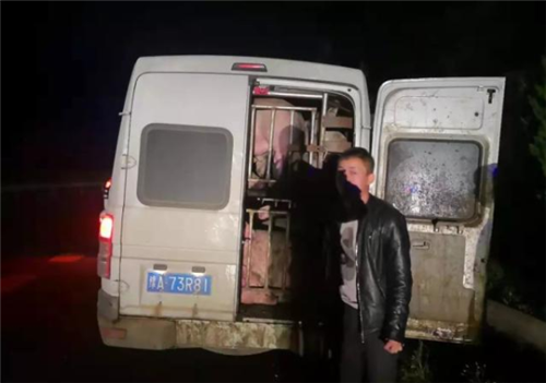 猪肉贩子非法运输20多头生猪！被交警逮个正着！