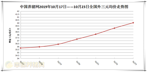中国养猪网