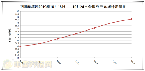 中国养猪网