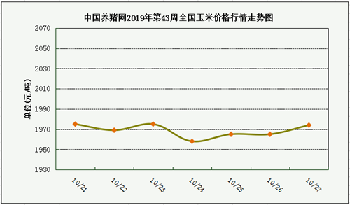 中国养猪网