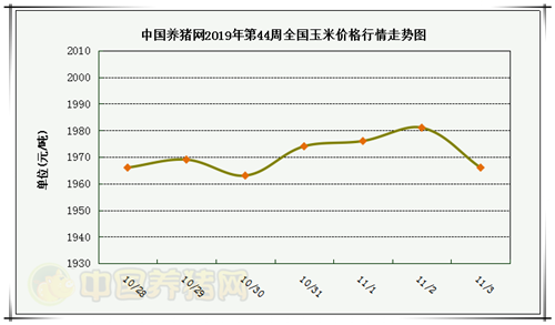 中国养猪网