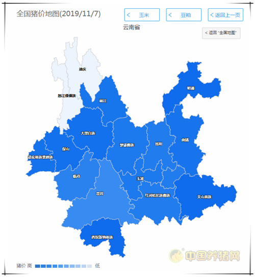 中国养猪网