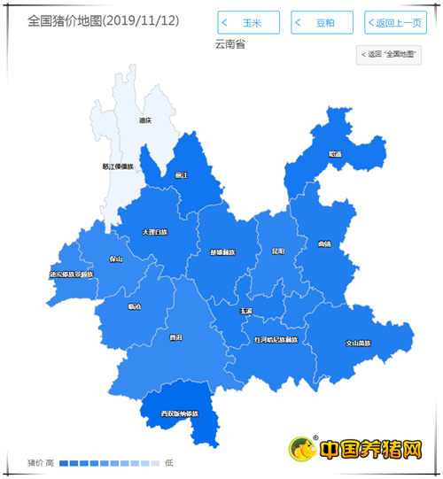 中国养猪网