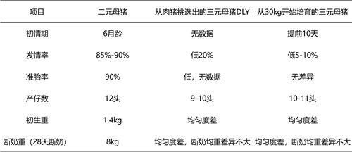 中国养猪网