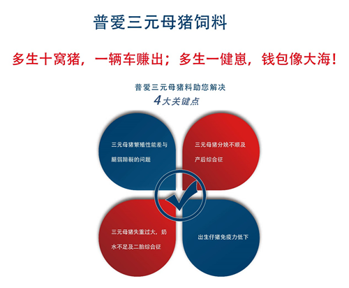 中国养猪网