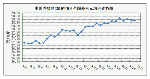 中国养猪网