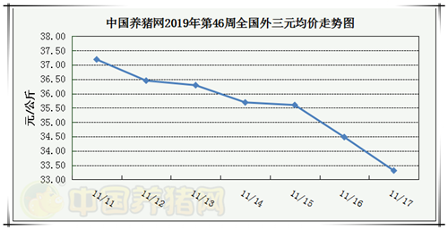 中国养猪网