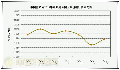 中国养猪网