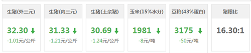 中国养猪网