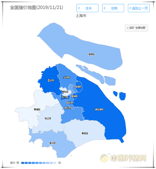 中国养猪网