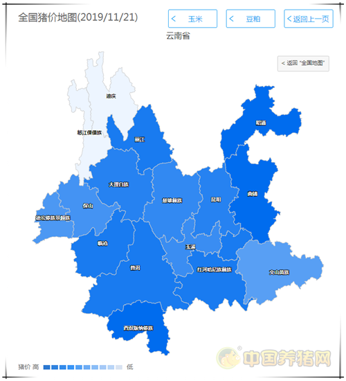 中国养猪网