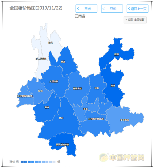 中国养猪网