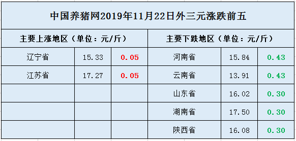 中国养猪网