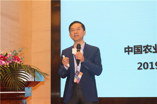 仇华吉：非洲猪瘟的防控策略及对疫苗的看法