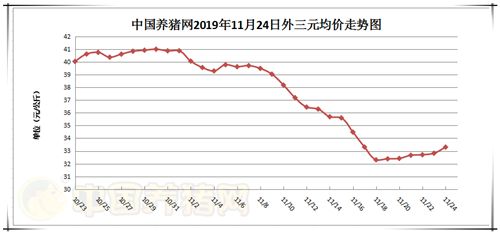 中国养猪网