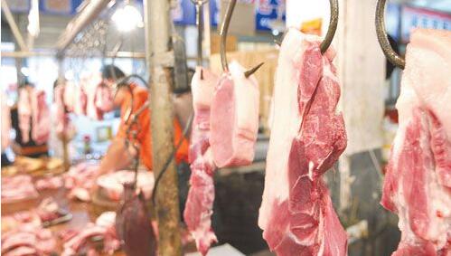 压栏大猪成猪价上涨阻碍！猪肉批发价17-20元