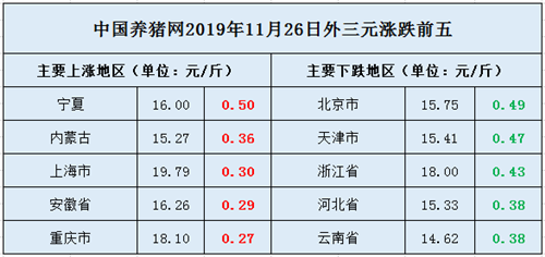 中国养猪网
