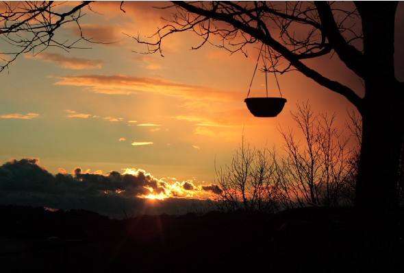 猪价萎靡，猪市却沸腾？广东调猪有奖励，温氏斥8亿……