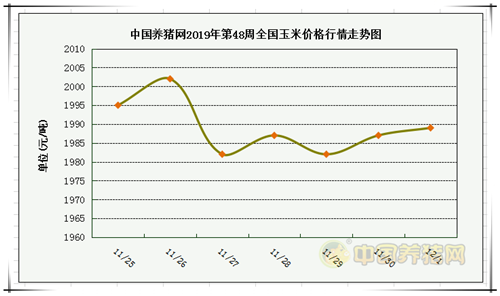 中国养猪网