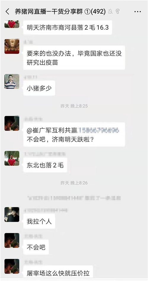 中国养猪网