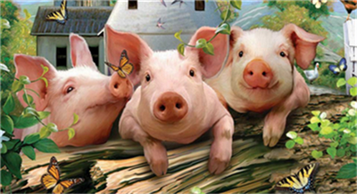 国家统计局：11月下旬生猪（外三元）价格环比跌5.2%！