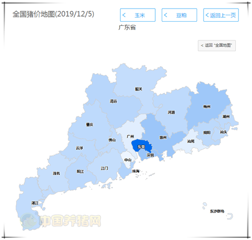 中国养猪网